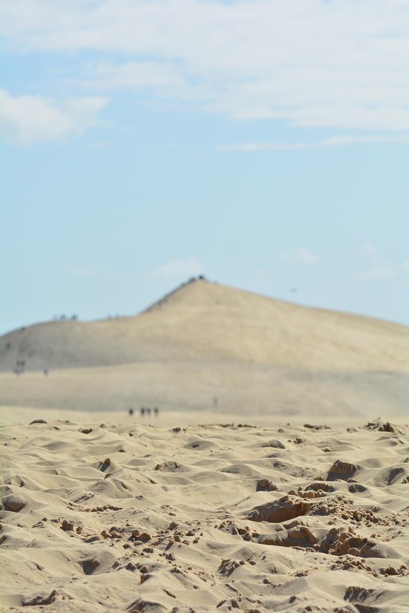 Beach Gathering