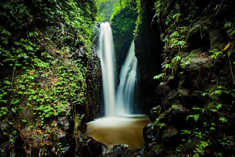 Hidden Waterfall in Tropical Jungle